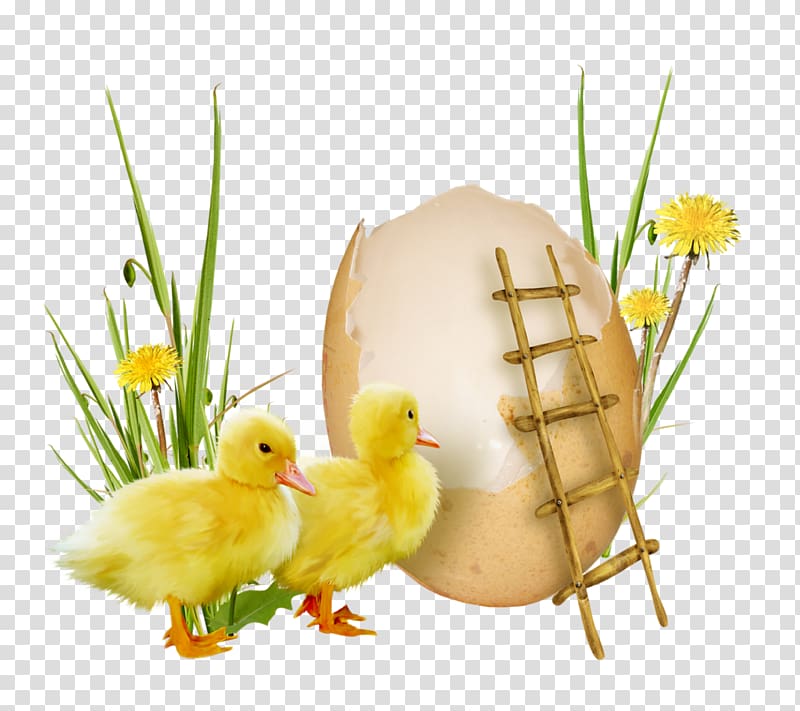 Easter Holiday Christmas Wish Theatrical scenery, PASQUA transparent background PNG clipart