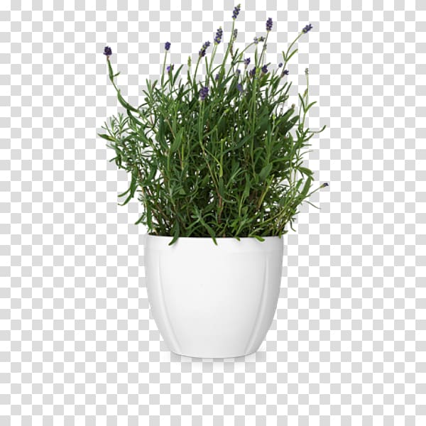 Flowerpot Cachepot Rosendahl earthenware Vase, flower pot transparent background PNG clipart