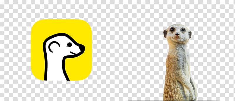 Compare the Meerkat Logo, design transparent background PNG clipart