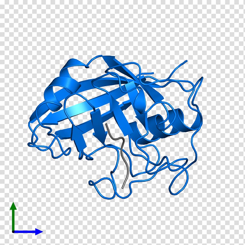 Protein Data Bank Structural Classification of Proteins database Pfam Protein domain, Peptidyl Transferase transparent background PNG clipart