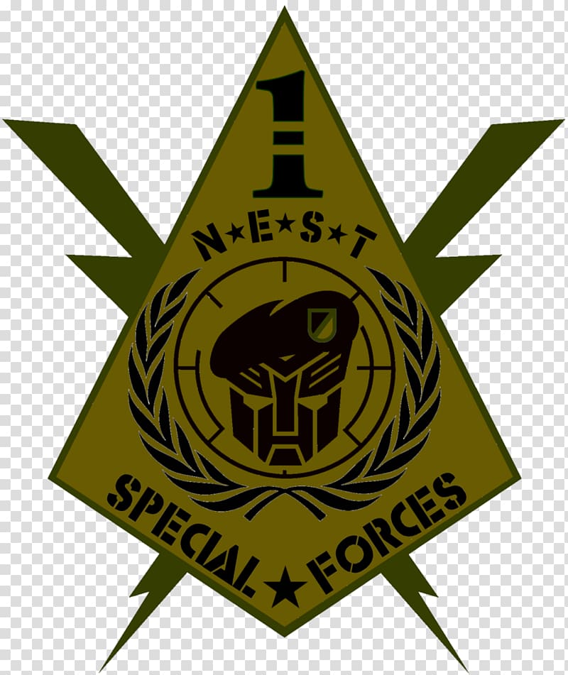 Special forces Military United States Special Operations Command 75th