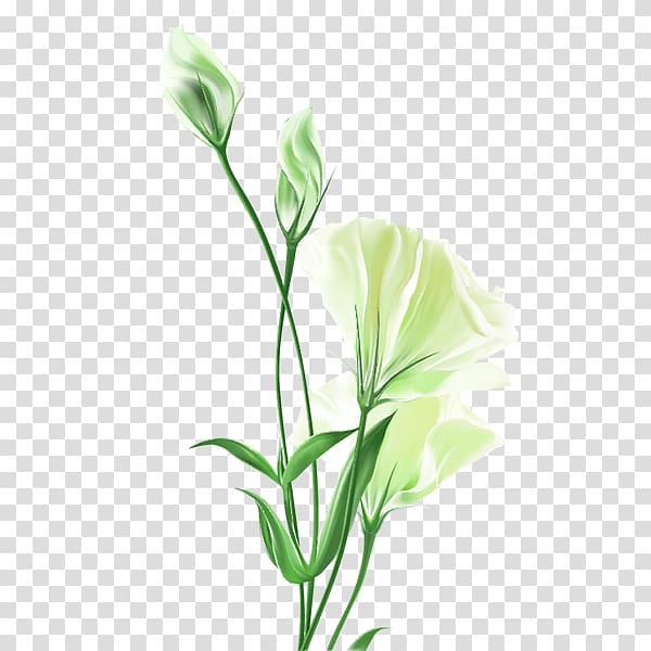 Flower bouquet Painting, Lily White Flower transparent background PNG clipart