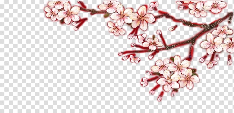 Cherry blossom Petal Fashion accessory Jewellery, Plum Pretty transparent background PNG clipart