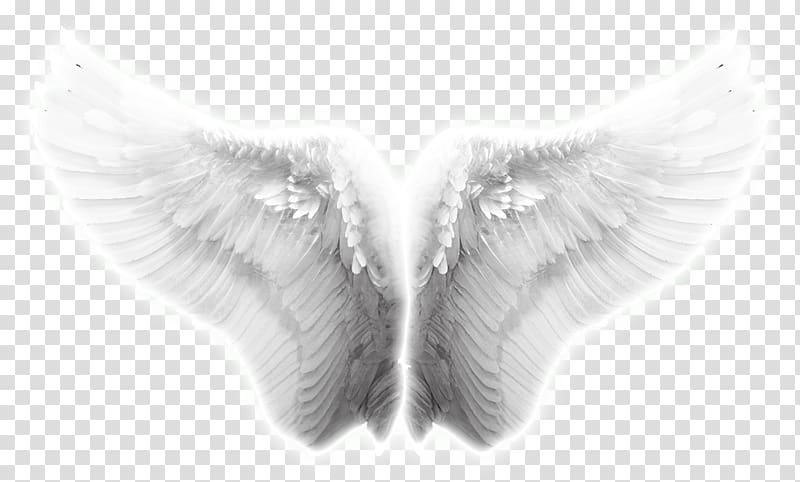 white wings , Angel wing Icon, Wings, angel wings, Taobao creative wings effects transparent background PNG clipart