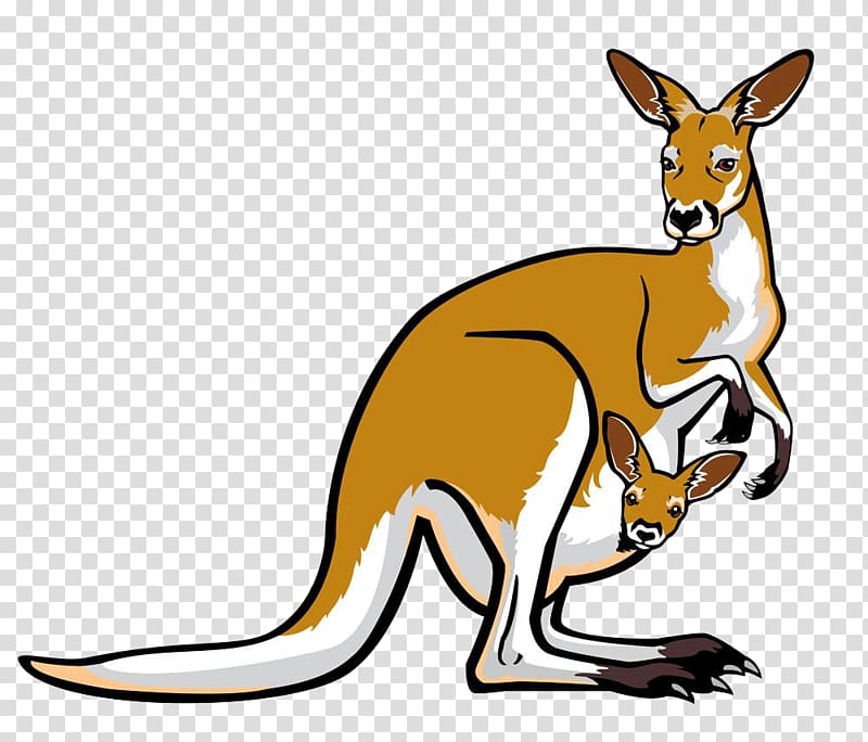 kangaroo , Red kangaroo Pouch Illustration, Cartoon kangaroo transparent background PNG clipart