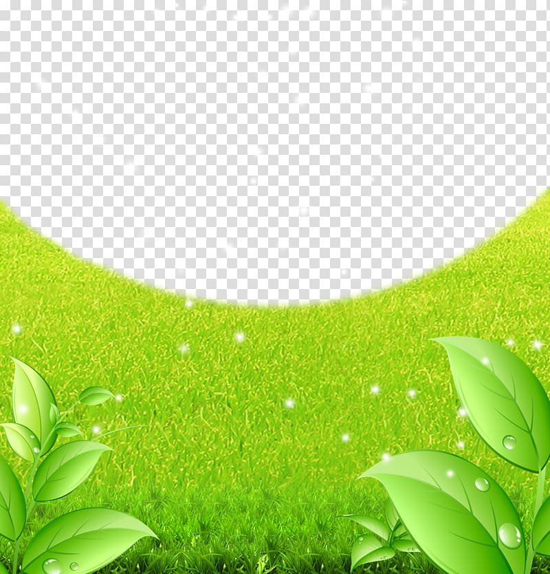 Green Lawn Fundal, Green to green background material transparent background PNG clipart