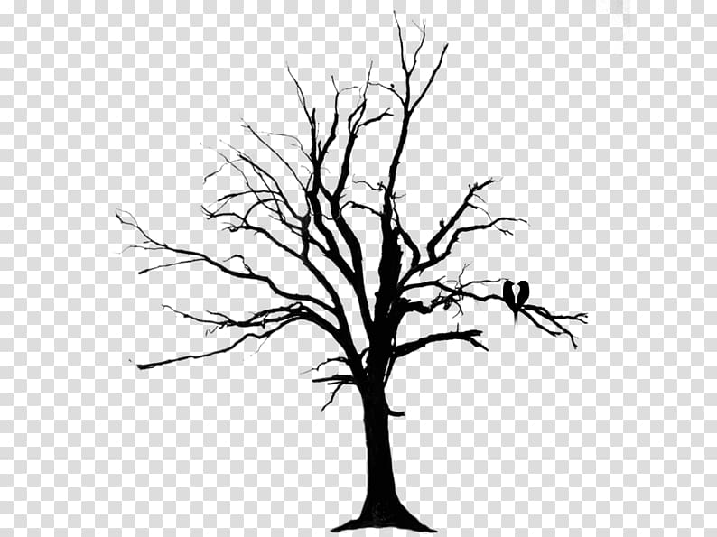 Birds on a dead tree transparent background PNG clipart