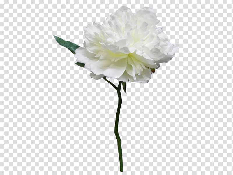 Peony Cut flowers Rosaceae Artificial flower, christmas wreath material transparent background PNG clipart