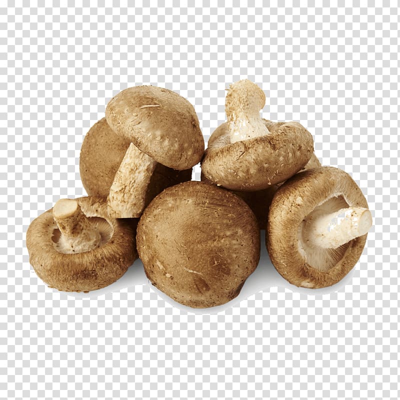 Shiitake Common mushroom Liqueur Edible mushroom, mushroom transparent background PNG clipart