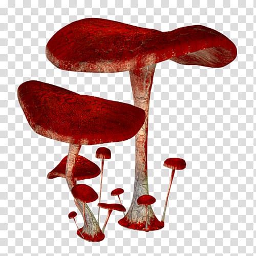 Mushroom Red Euclidean , Red Mushroom transparent background PNG clipart