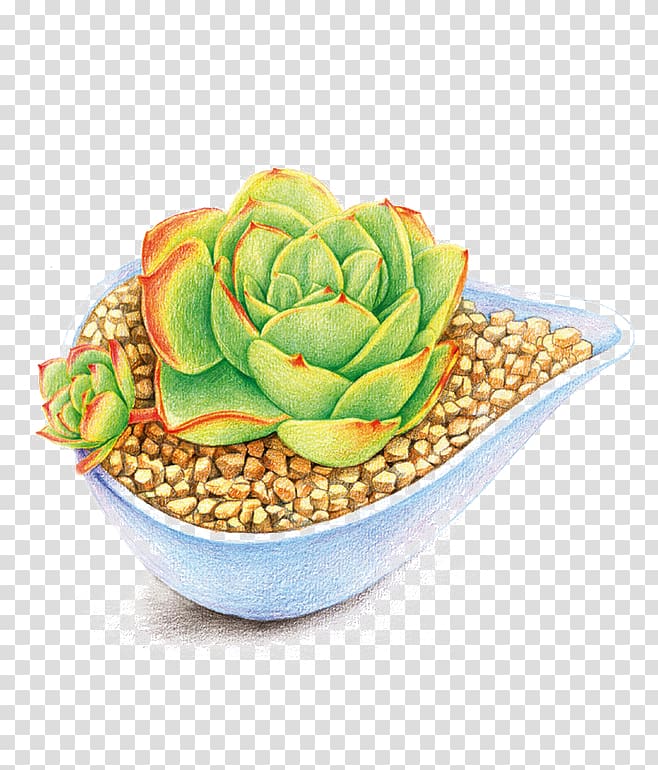 Cartoon Succulent plant Animation Illustration, lotus transparent background PNG clipart