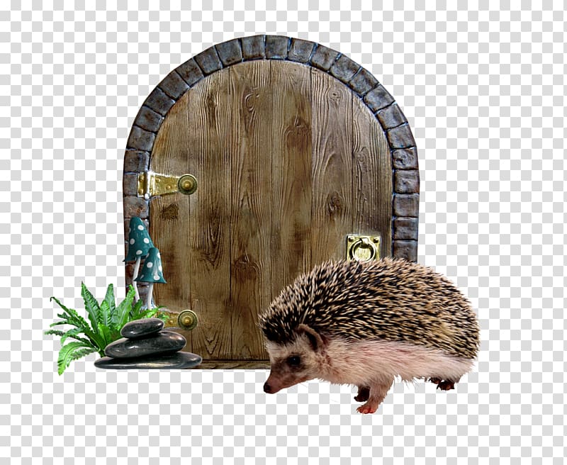 Alices Adventures in Wonderland Domesticated hedgehog Fairy tale, Doors transparent background PNG clipart