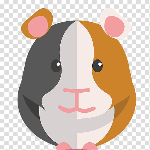 Guinea Pig Care Hamster Mouse, guinea pig transparent background PNG clipart