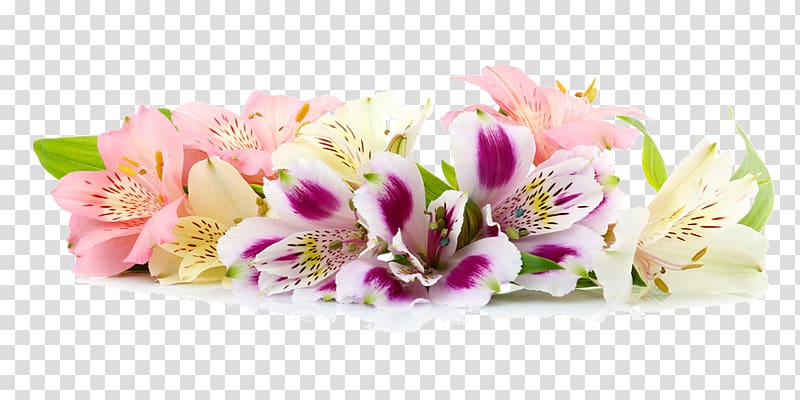 Border Flowers Floral design , flower transparent background PNG clipart