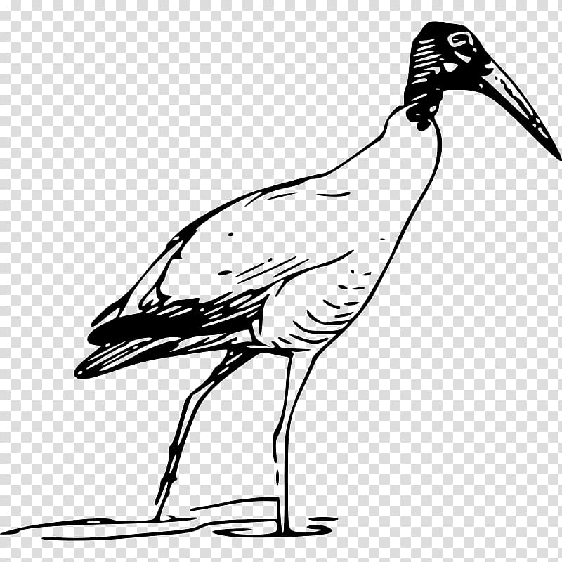 Bird Scarlet ibis , Stork Art transparent background PNG clipart