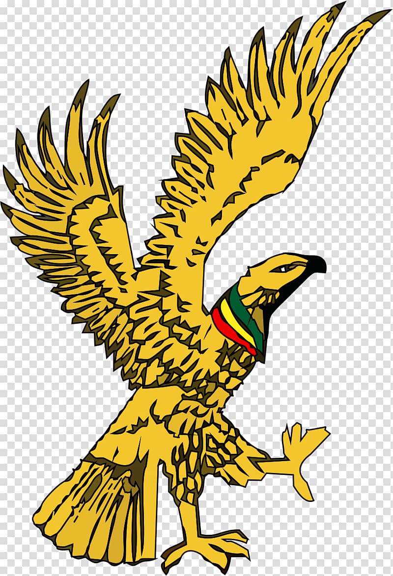 Bald Eagle Ghana Beak Line art , eagle transparent background PNG clipart