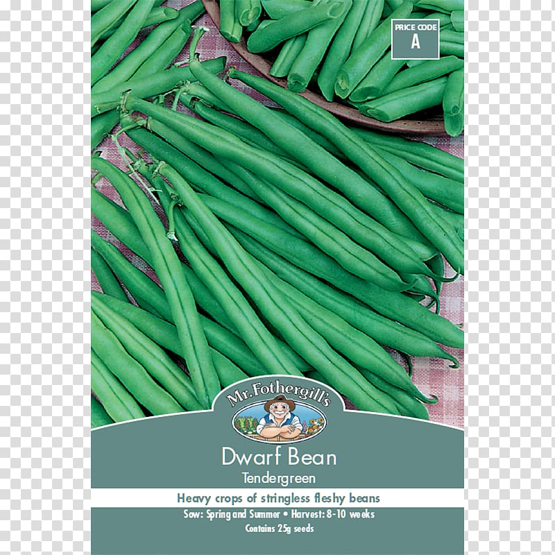 Green bean Common Bean Seed Runner bean, vegetable transparent background PNG clipart