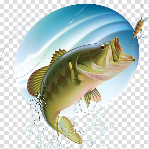 Largemouth bass Bass fishing, others transparent background PNG clipart