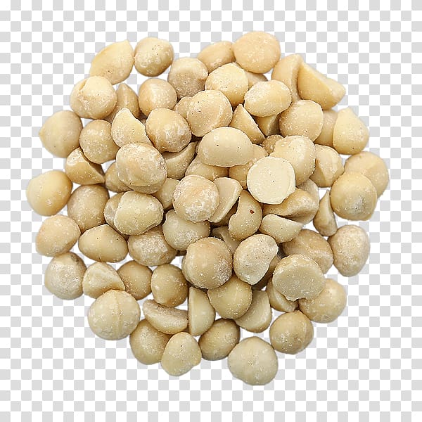 Macadamia Vegetarian cuisine Nut Bean Food, others transparent background PNG clipart