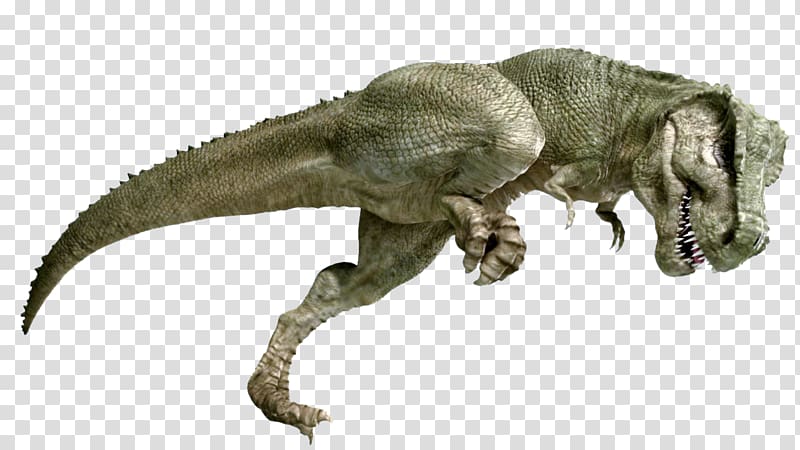 Tyrannosaurus Velociraptor Extinction Terrestrial animal, t-rex transparent background PNG clipart