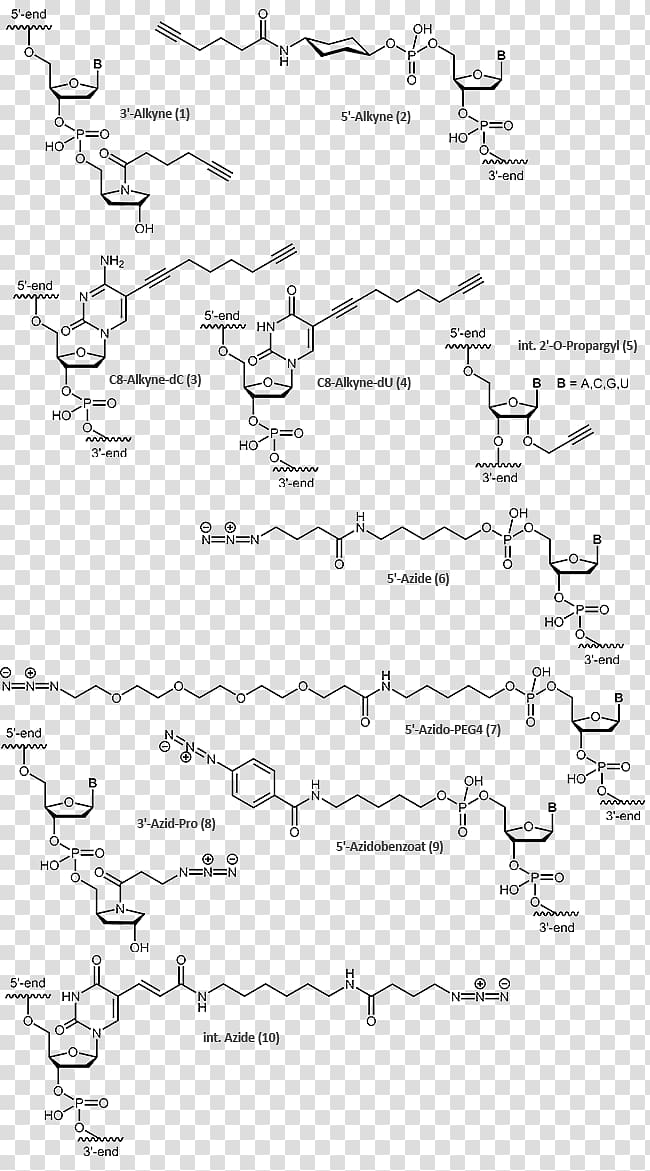 Azide-alkyne Huisgen cycloaddition Click chemistry, others transparent background PNG clipart