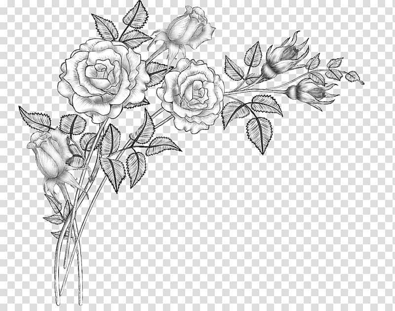 Floral design Line art Drawing Sketch, others transparent background PNG clipart