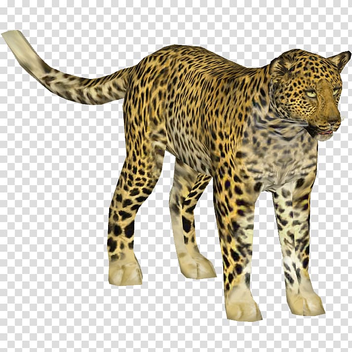 Indian leopard Cheetah African leopard Jaguar Ocelot, leopard transparent background PNG clipart