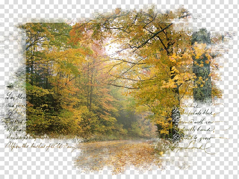 green leafed trees , Landscape Nature Centerblog Art, autumn transparent background PNG clipart