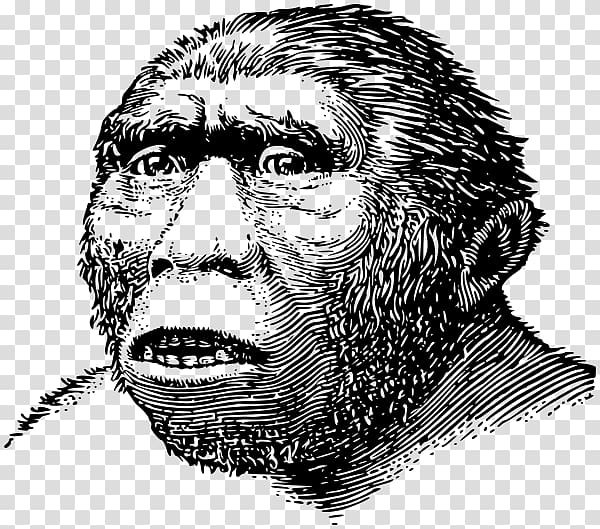 Sangiran Homo sapiens Java Man Archaic humans Meganthropus, World History transparent background PNG clipart