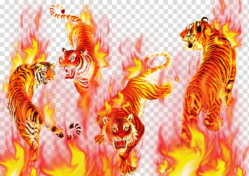 Tiger Flame Combustion Computer file, Flame Tiger transparent background PNG clipart