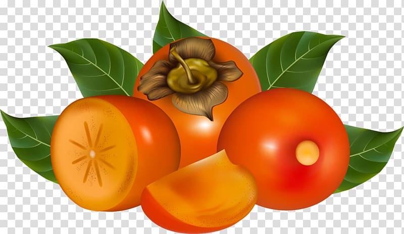 Fruit Persimmon , persimmon transparent background PNG clipart