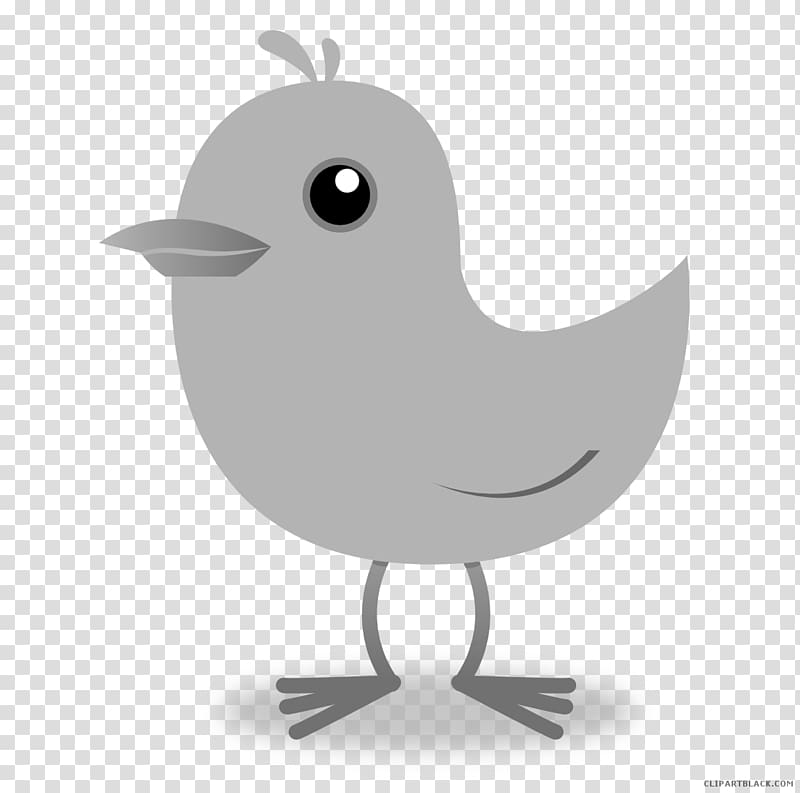 Illustration Chirp Free content, chinese bird transparent background PNG clipart