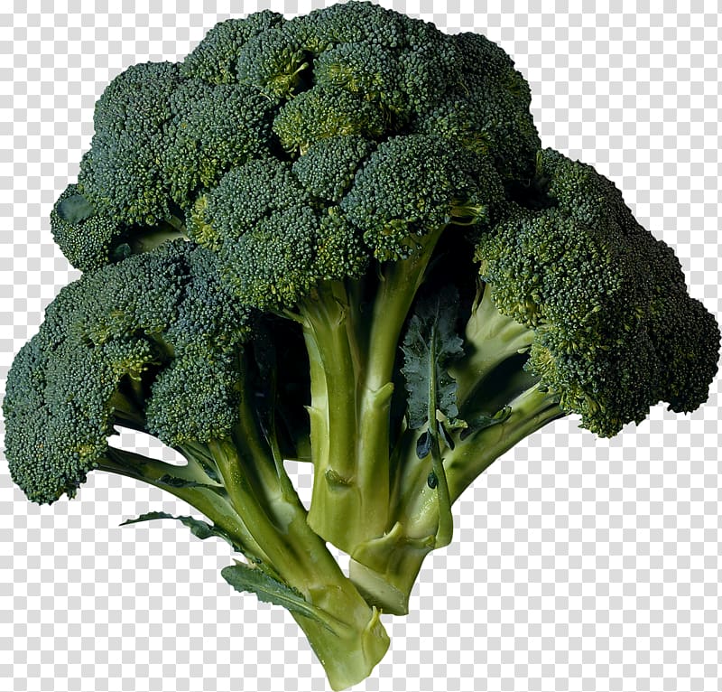 Broccoli Cabbage Kohlrabi Vegetable Cauliflower, Broccoli transparent background PNG clipart