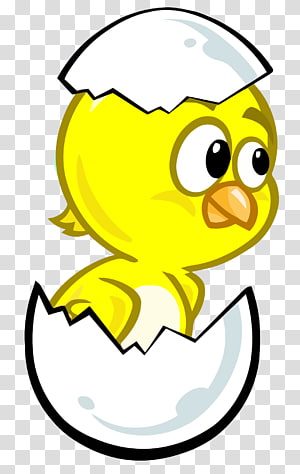 Hen Clipart Png - Desenho De Galinha Colorido, Transparent Png - 800x776  (#2088849) - PinPng