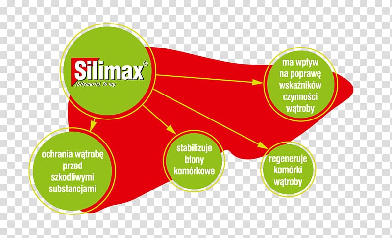 Pharmaceutical drug Silimarina Liver Active ingredient Regeneration, Apteka Novoperedelkino transparent background PNG clipart