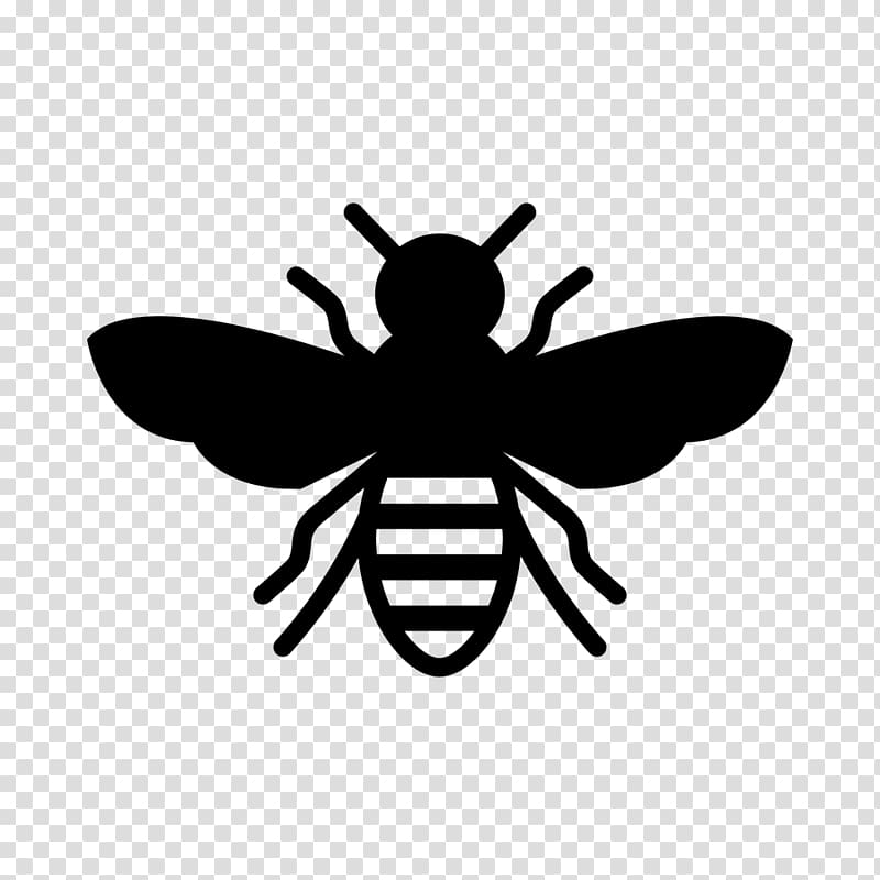 European dark bee Insect Stencil Honey bee, bees transparent background PNG clipart