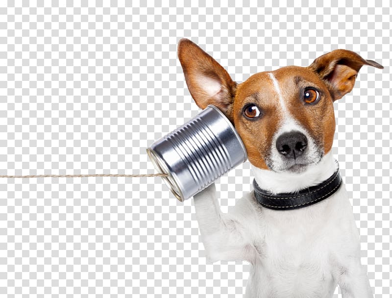 YouTube Conversation Communication Telephone call Information, Dog transparent background PNG clipart