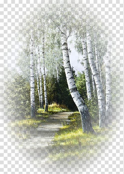 Watercolor painting Landscape painting Art Forest, painting transparent background PNG clipart