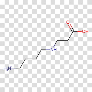 Line Point Angle, line transparent background PNG clipart thumbnail