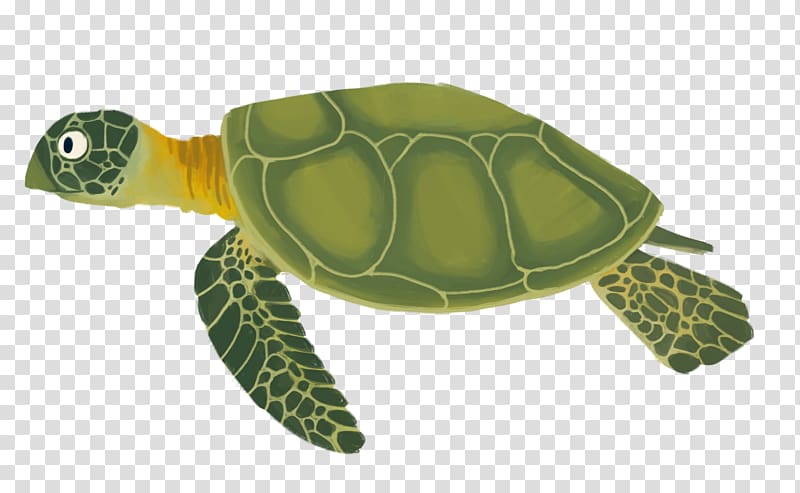 Sea turtle Reptile Animation, turtle transparent background PNG clipart