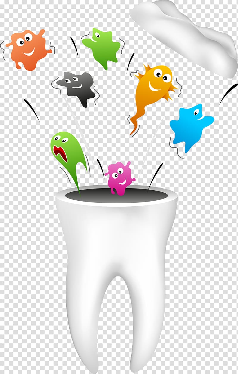 Dentistry Human tooth Dental hygienist, teeth transparent background PNG clipart