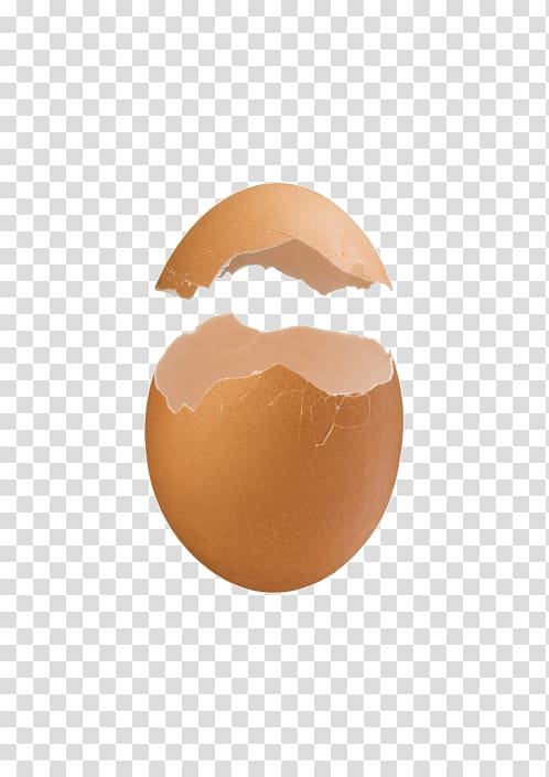 egg PNG transparent image download, size: 2800x1801px