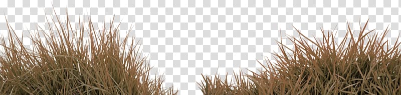 Grass Gratis , Brown simple grass decoration pattern transparent background PNG clipart