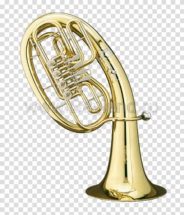 Baritone horn Wind instrument Musical Instruments Brass Instruments, musical instruments transparent background PNG clipart