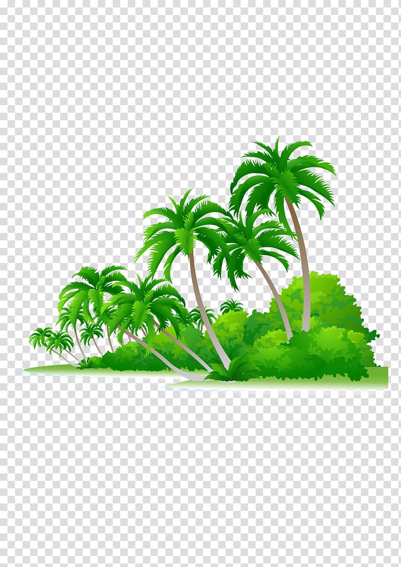 green coconut trees, Arecaceae Euclidean Tree Illustration, Palm beach transparent background PNG clipart