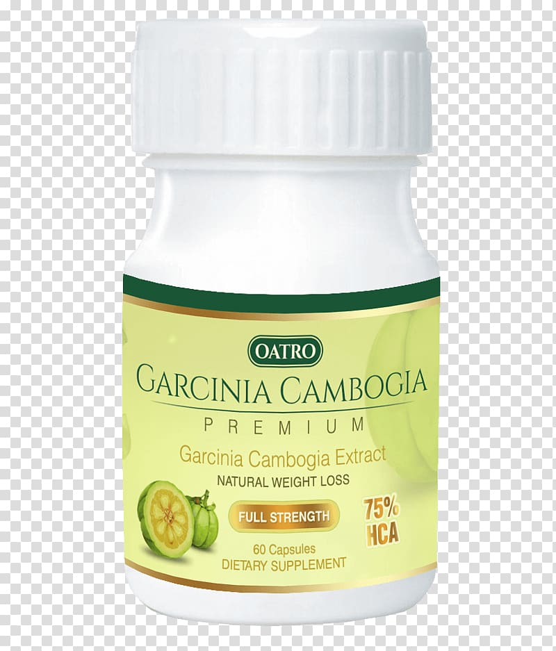 Garcinia cambogia Dietary supplement Hydroxycitric acid Weight loss, Garcinia cambogia transparent background PNG clipart