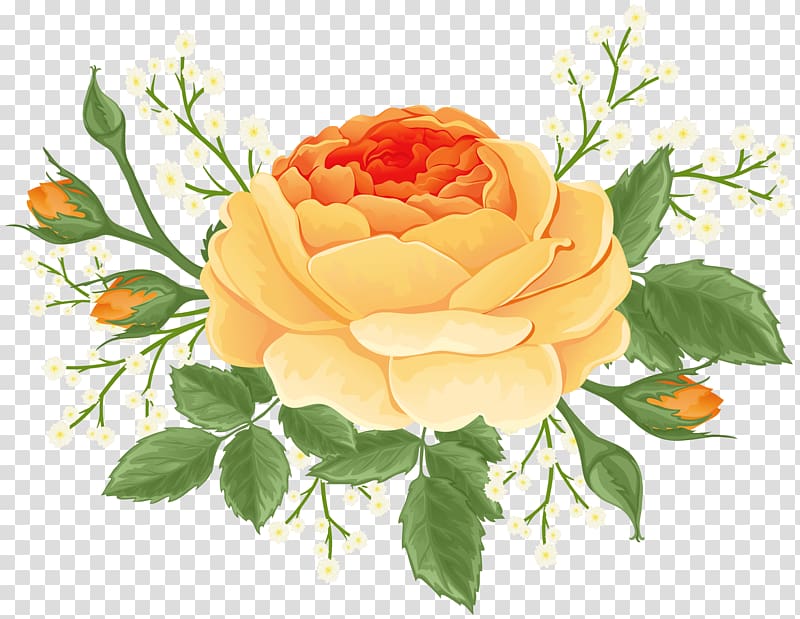 Orange Rose with White Flowers transparent background PNG clipart