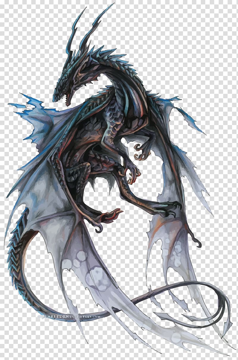 gray dragon illustration, Dragon transparent background PNG clipart