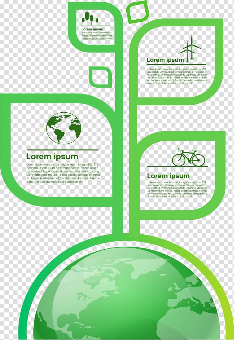 Infographic Euclidean Illustration, Leaf structure information chart transparent background PNG clipart