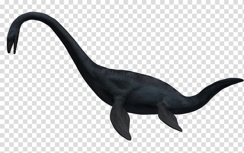 Elasmosaurus Plesiosauria Dinosaur Mosasaurus Mauisaurus, king of animals transparent background PNG clipart